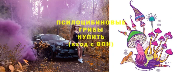 альфа пвп Бородино