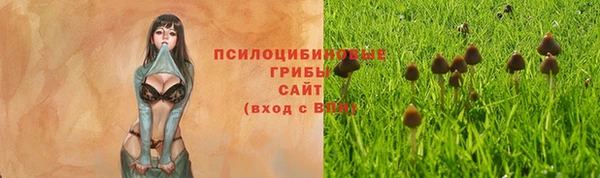 альфа пвп Бородино