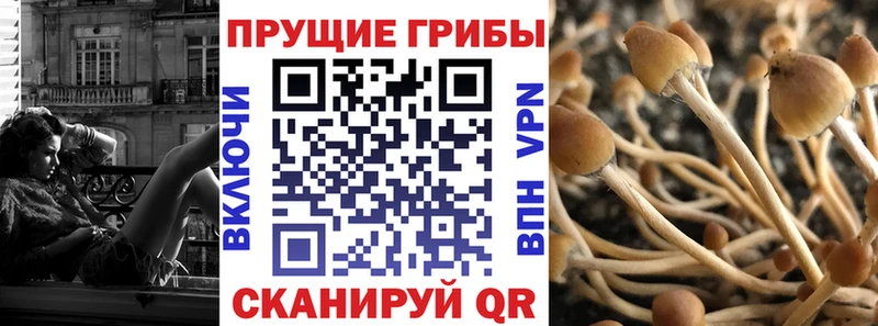 Псилоцибиновые грибы Psilocybine cubensis Купить где Константиновск